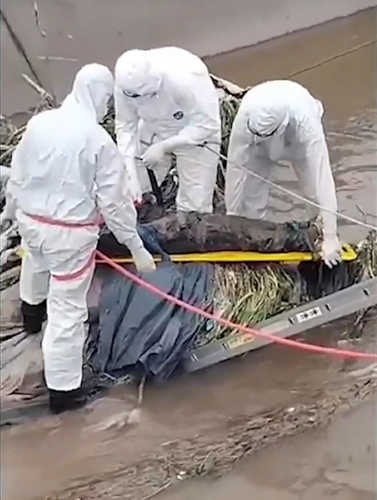 Encontraron un cuerpo sin vida en un arroyo en Tigre