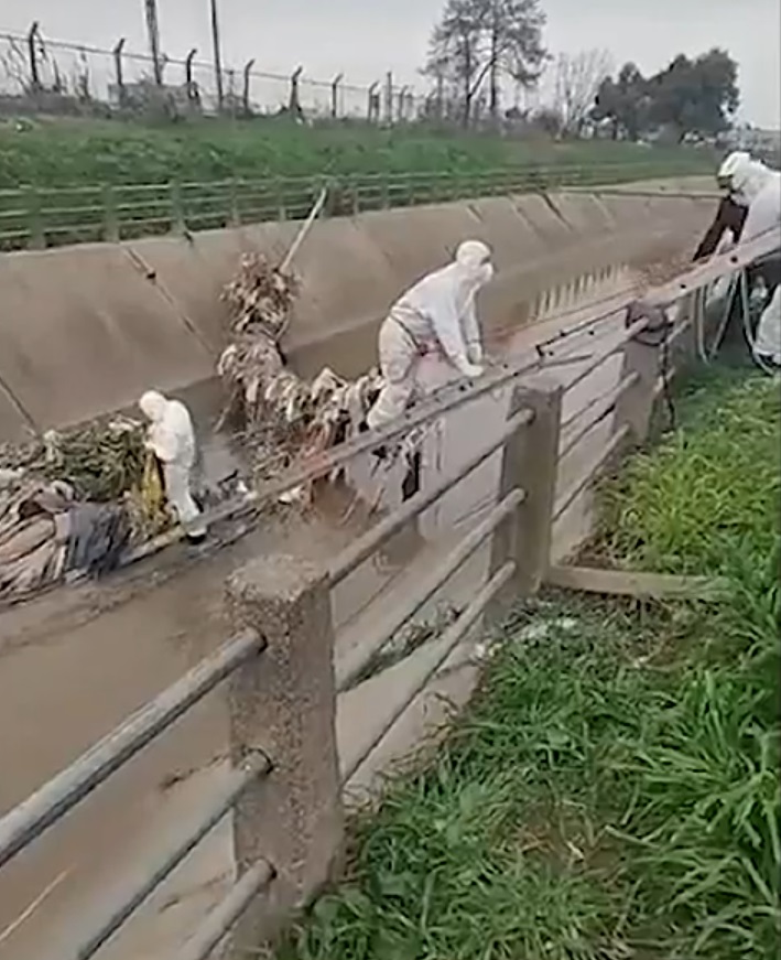 Encontraron un cuerpo sin vida en un arroyo. Foto 3