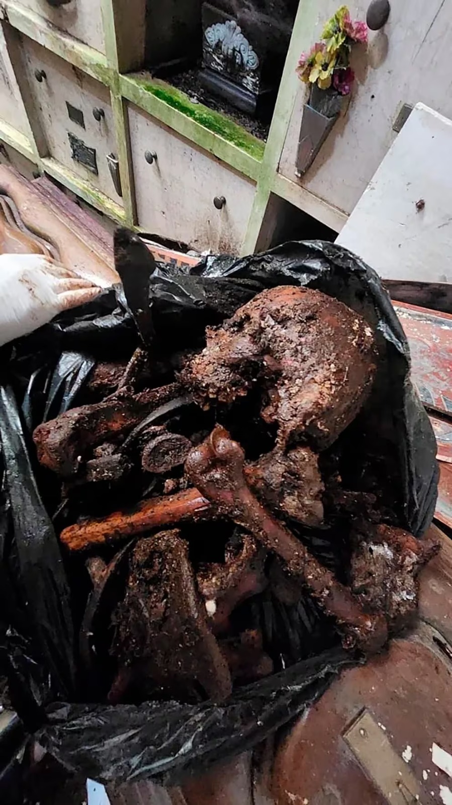 Los huesos hallados en bolsas (FOTO: Infobae).