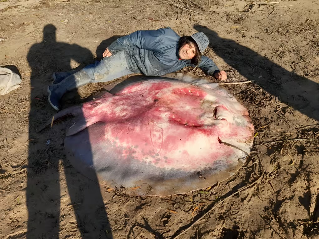 Cacharpa posa al lado para demostrar el tamaño de la raya.