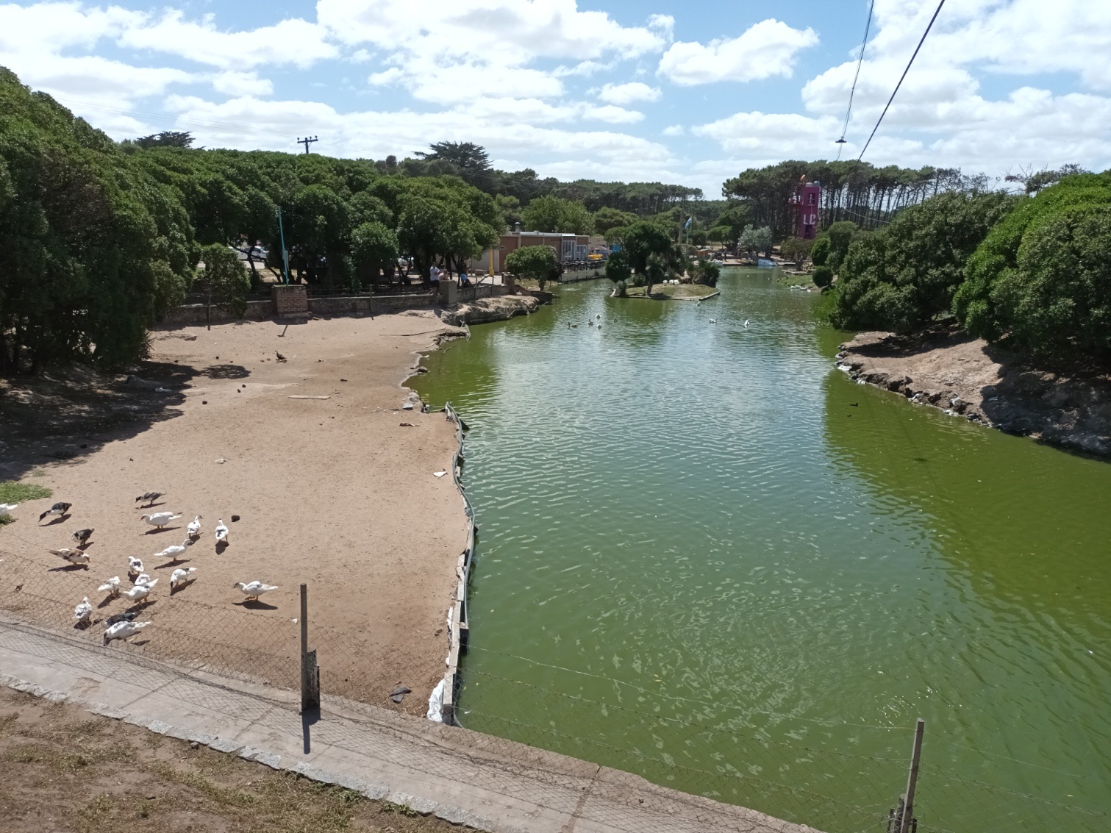 Lago de los Cisnes