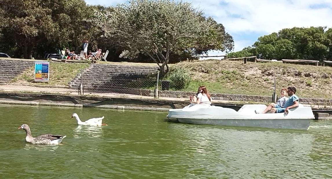 Lago de los Cisnes