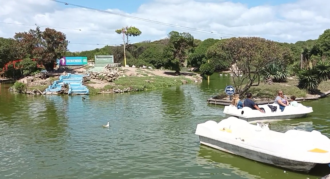 Lago de los Cisnes