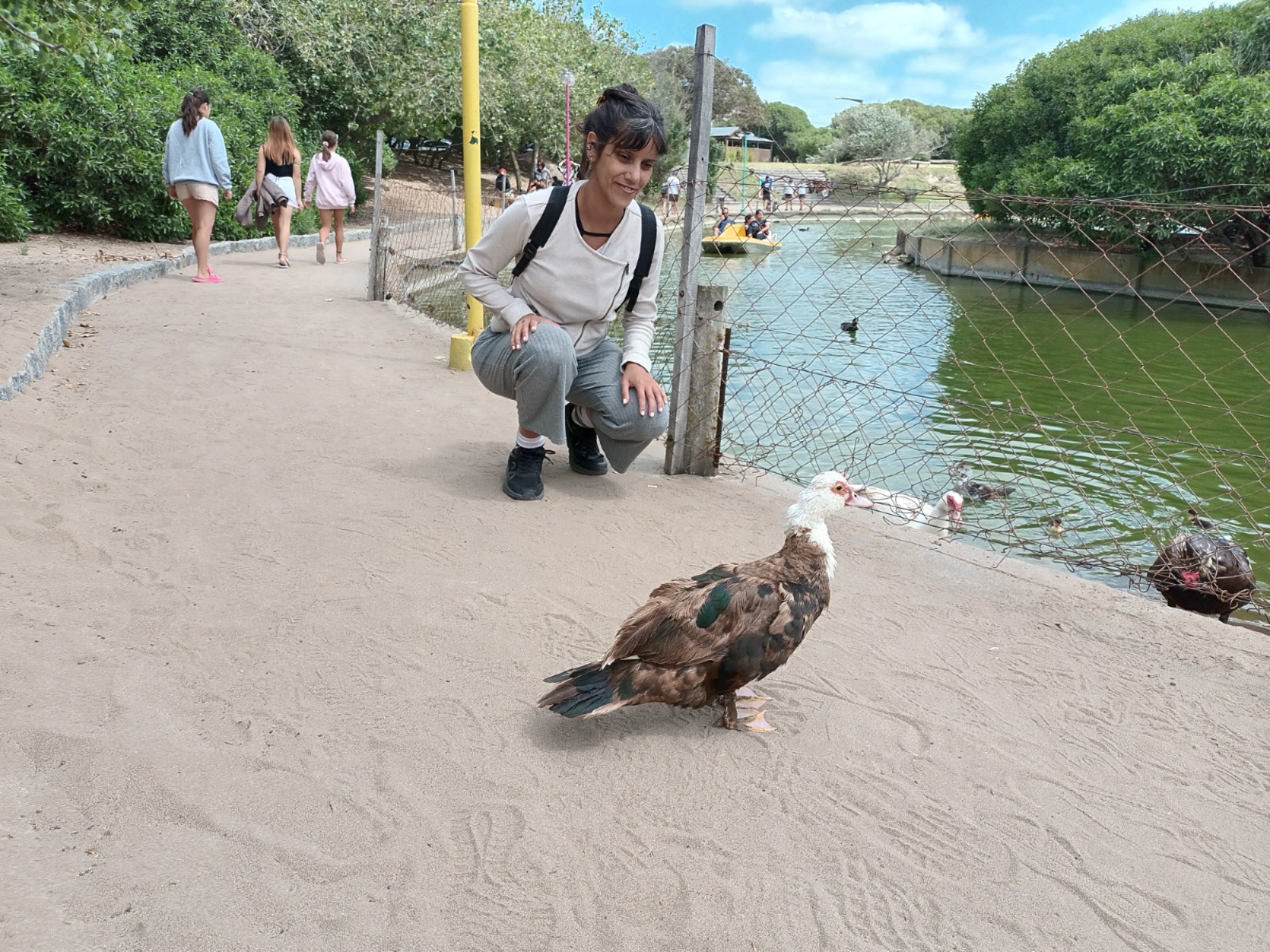 Lago de los Cisnes