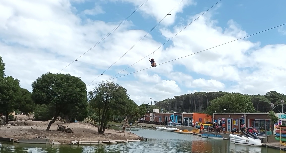 Lago de los Cisnes