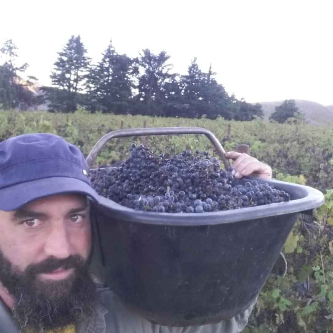 bodega la blanqueada