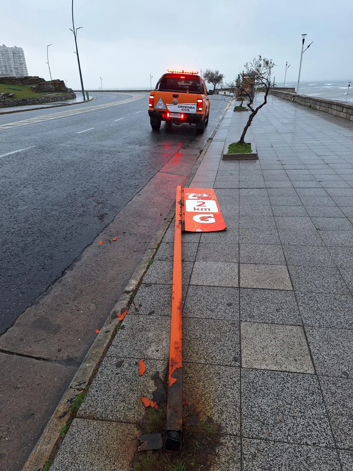 temporal mar del plata