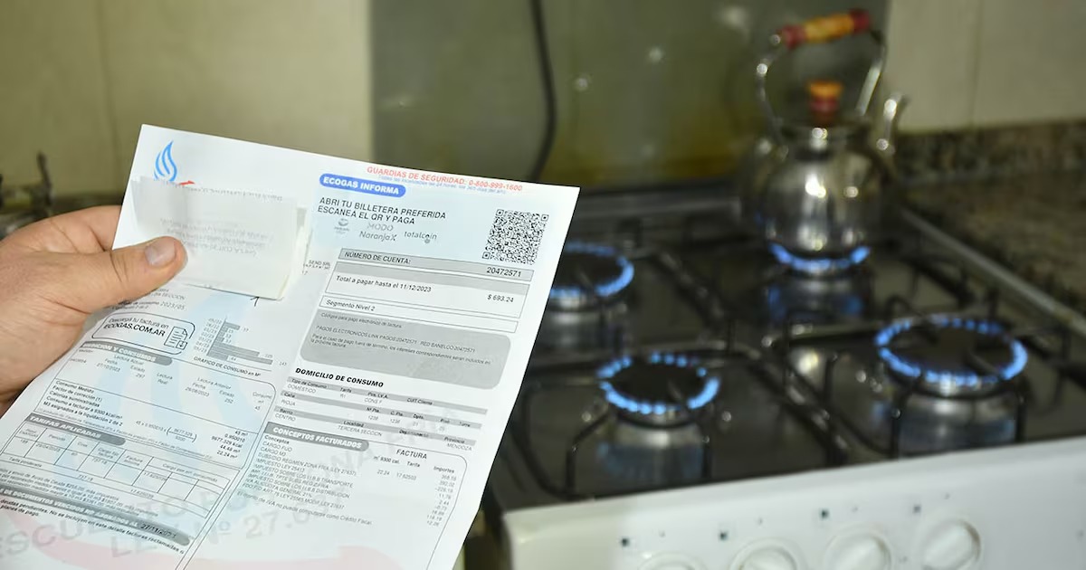 El Gobierno oficializó los nuevos aumentos en las tarifas de gas y luz ...