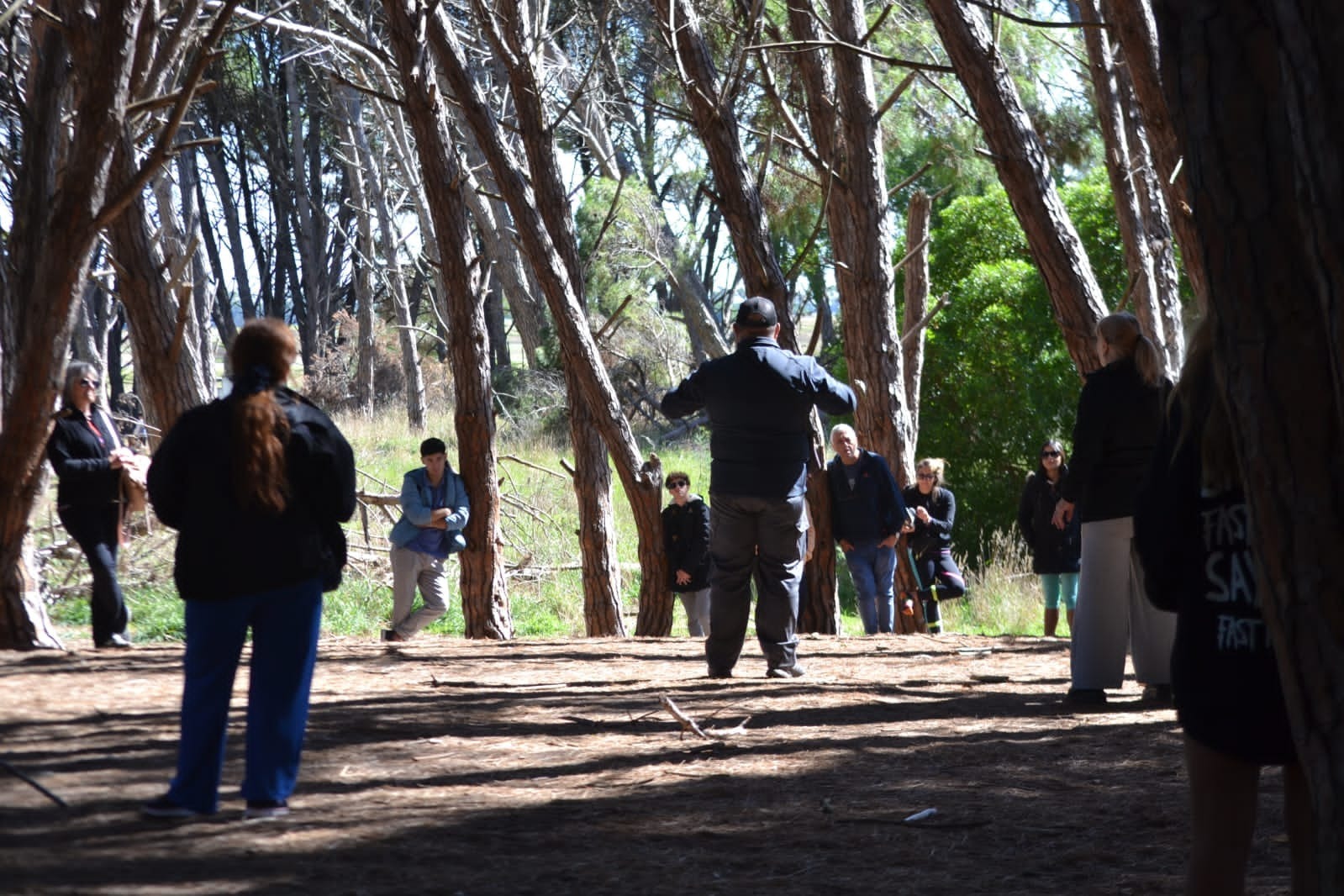 bosque energético