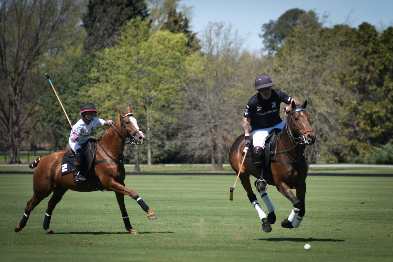 ellerstina Yellow Rose - 1