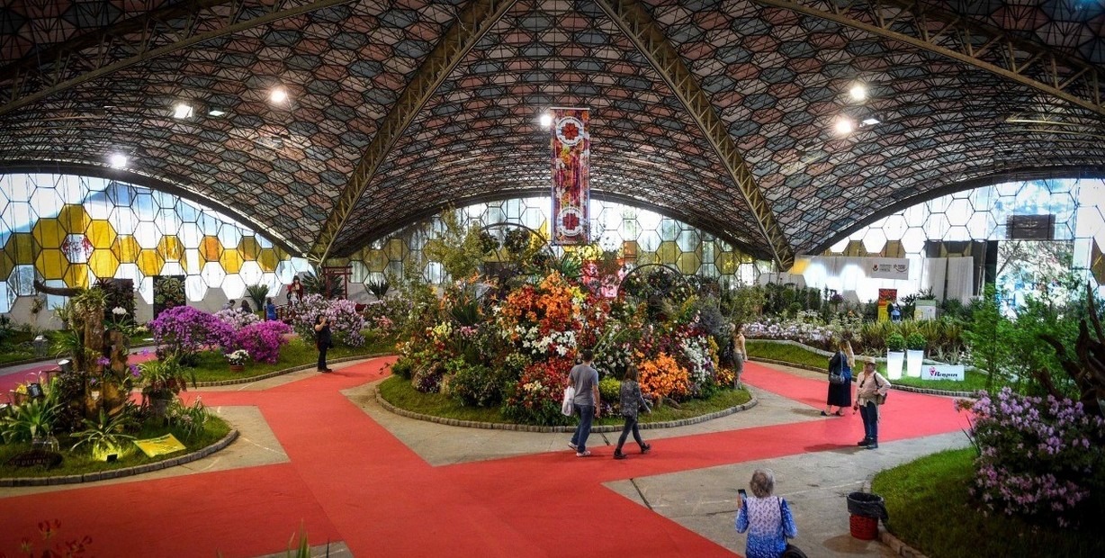 Fiesta nacional de la flor