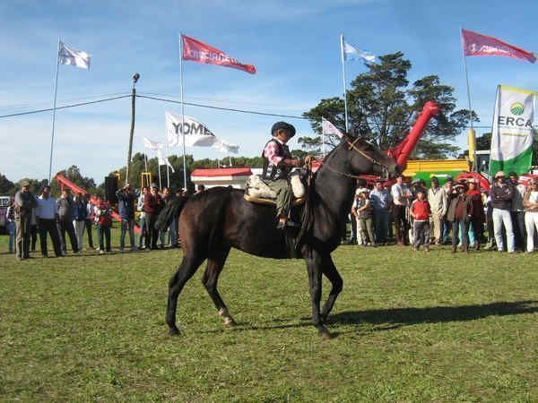 Fiesta del Chacarero 2024 en Azul