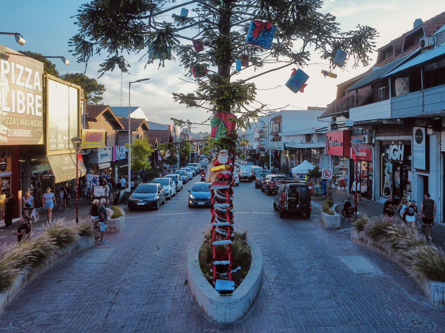 Navidad árbol Gesell