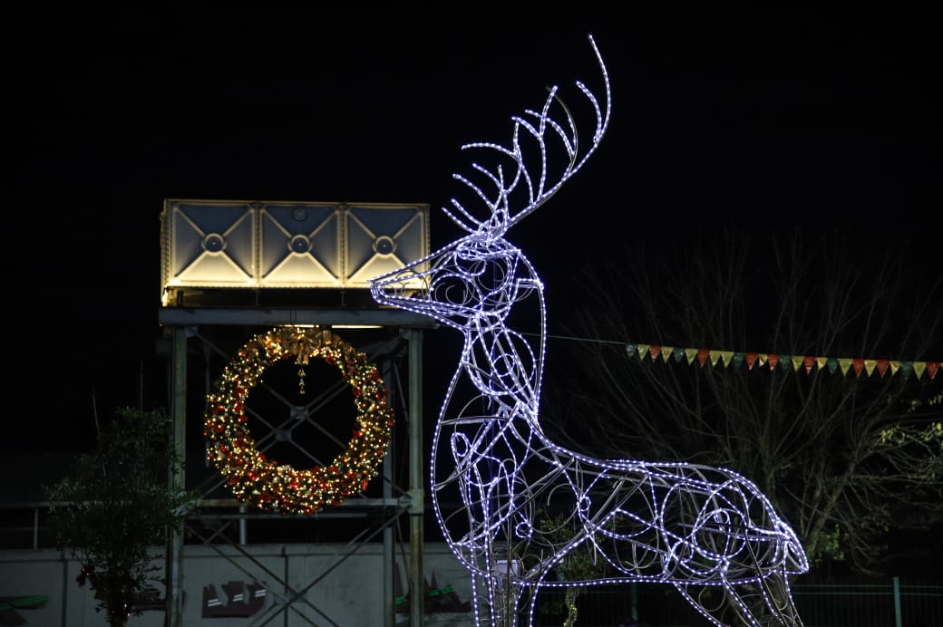 Navidad Avellaneda