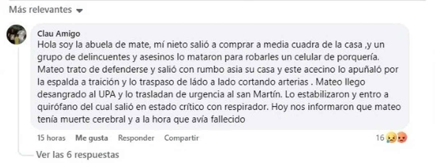 El posteo realizado por la abuela del joven asesinado.