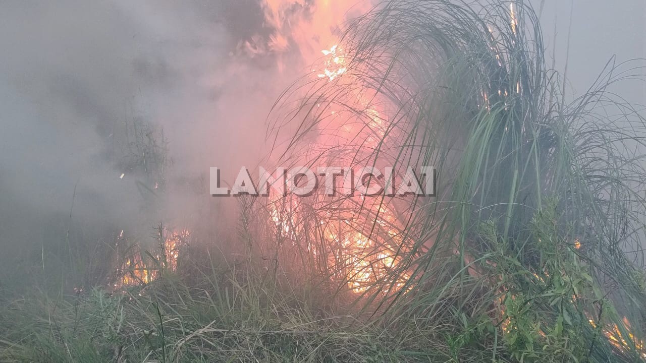 Incendio Zarate Campana