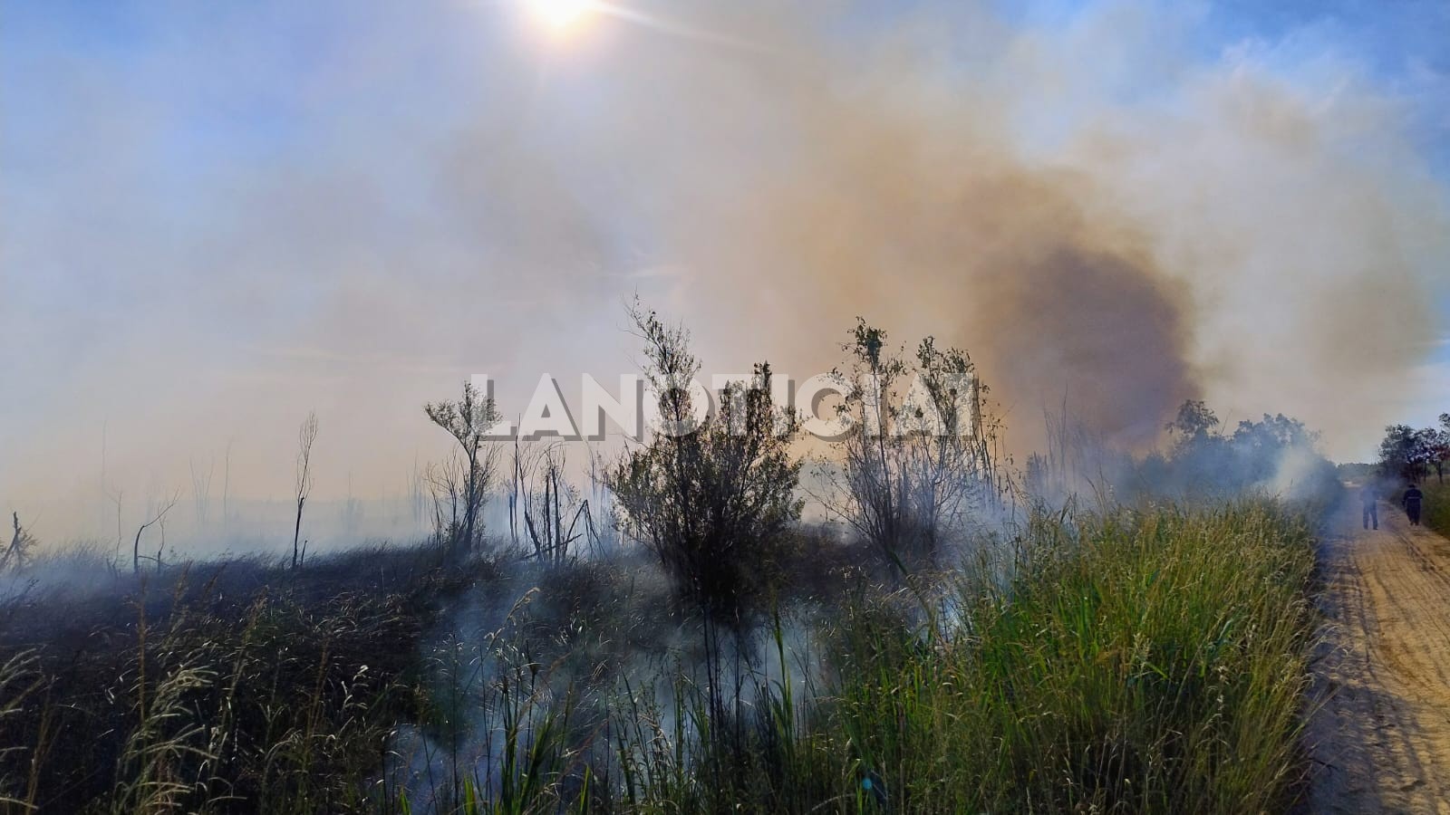 Incendio zarate campana