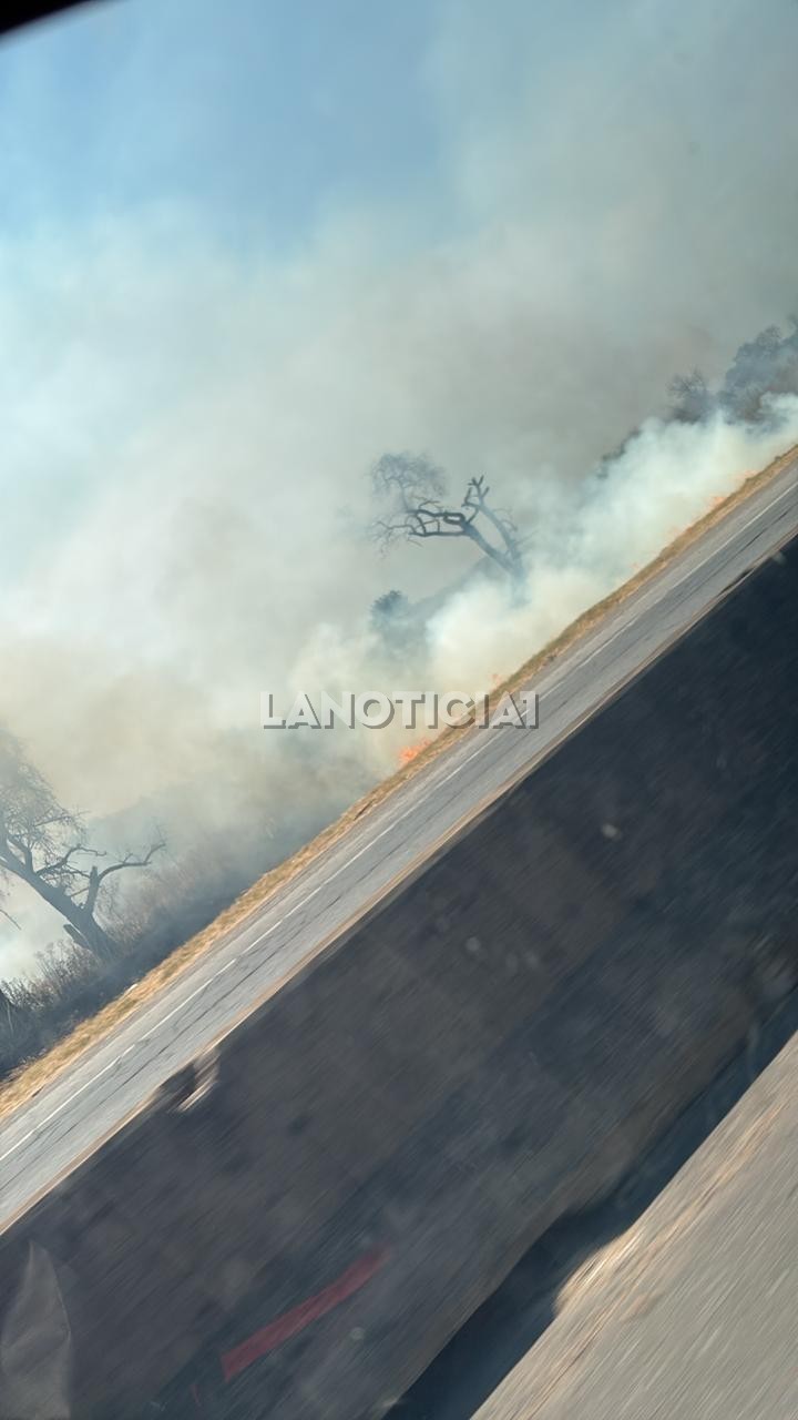 Incendio zarate campana