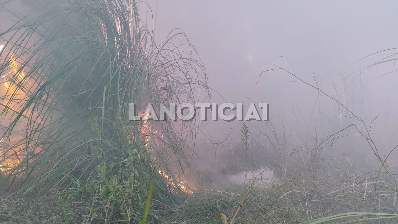 Incendio zarate campana