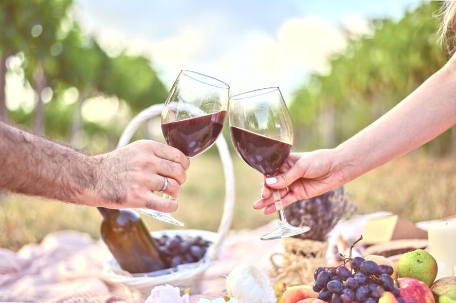 un viaje entre aromas, paisajes y sabores únicos – La Noticia 1