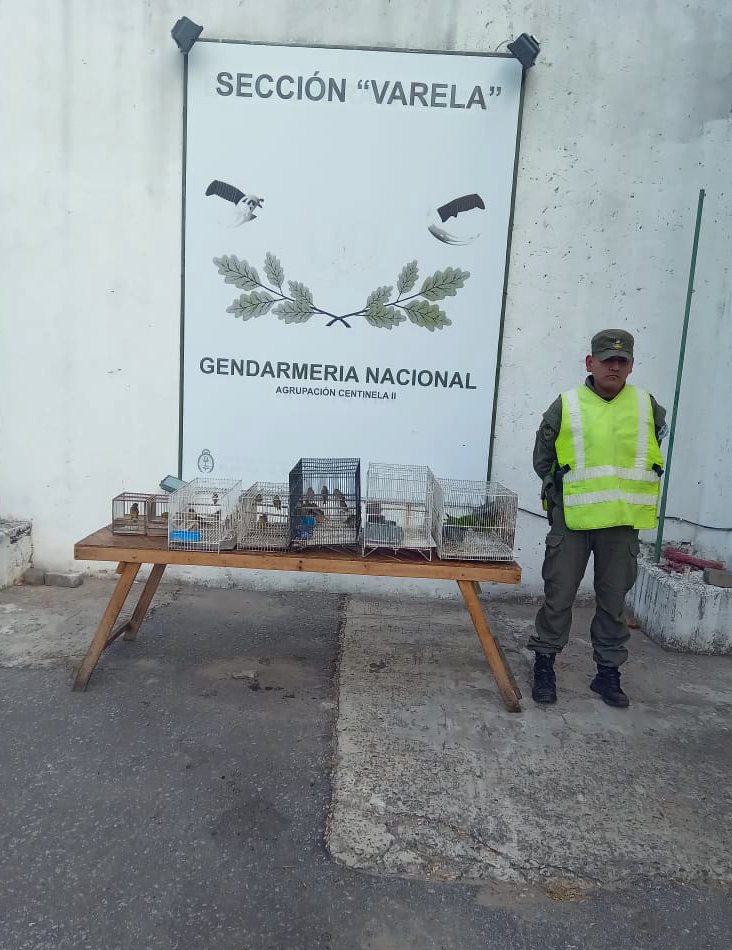 aves secuestradas Varela - 3
