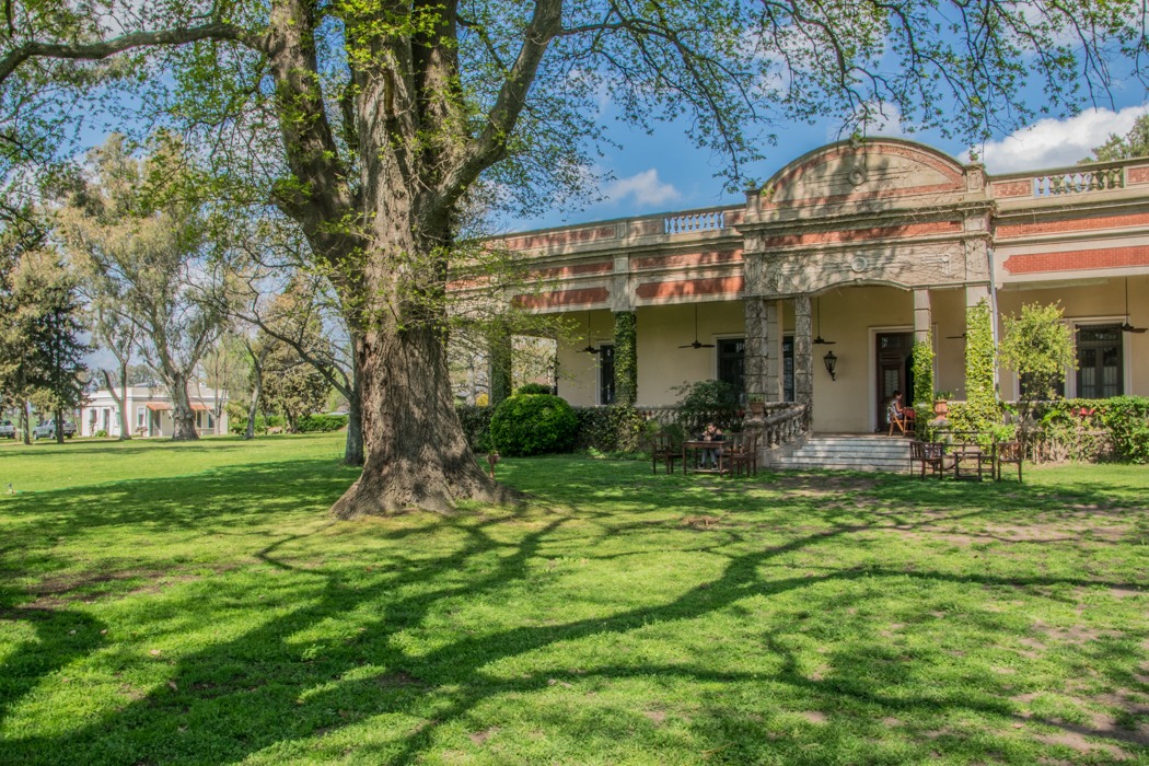 el ombu de areco