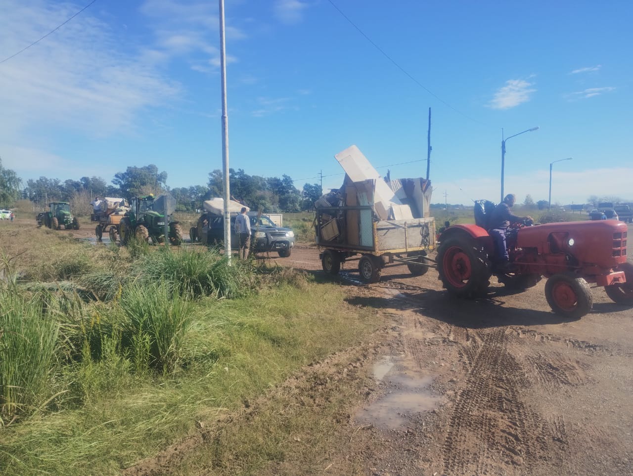 FOTO: Bichos de Campo.