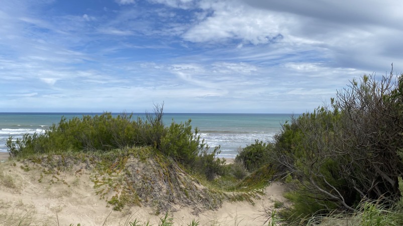 Nueva Reserva Natural Municipal en Lobería: Una propuesta de ecoturismo sobre el imponente mar – La Noticia 1