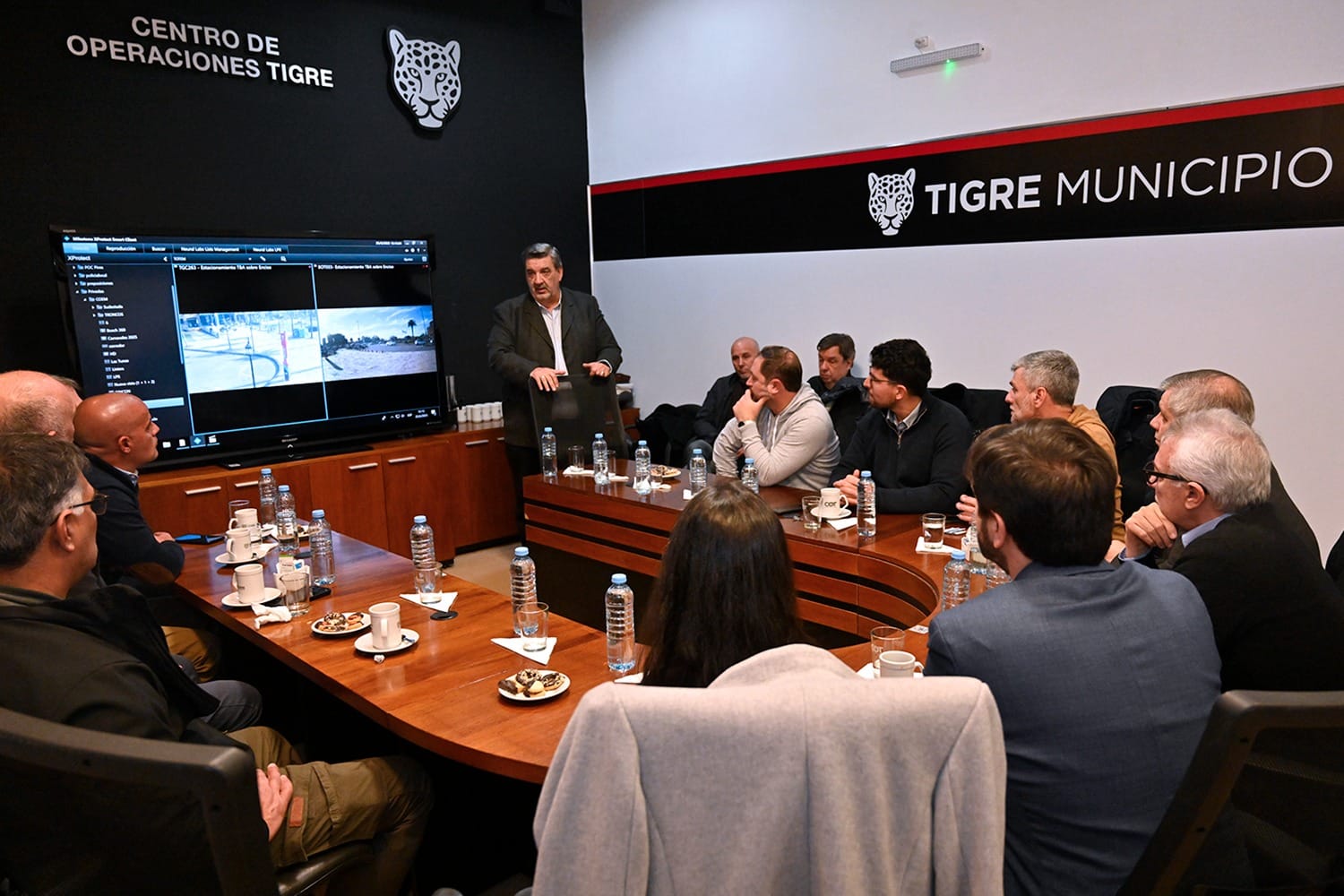 zamora tigre