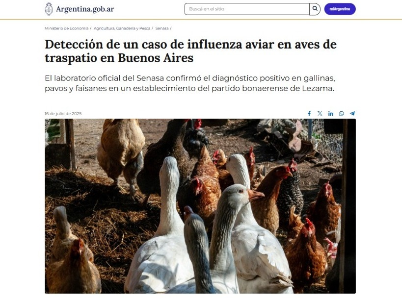 gripe aviar