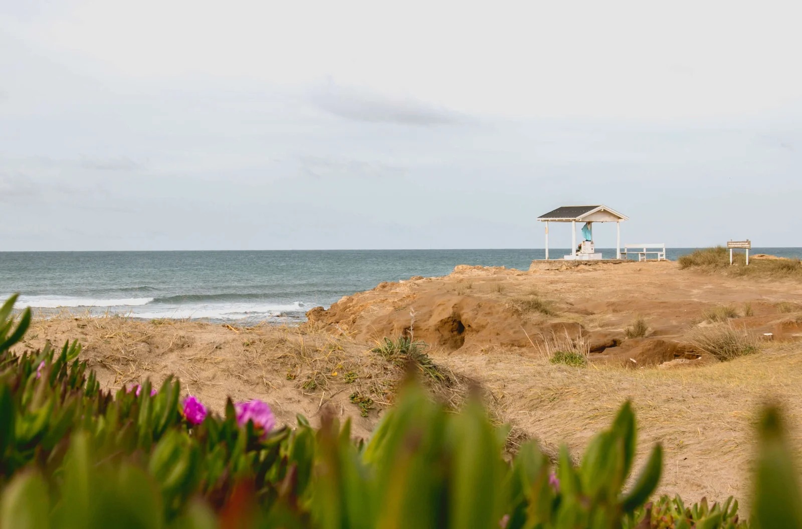 mar del sud