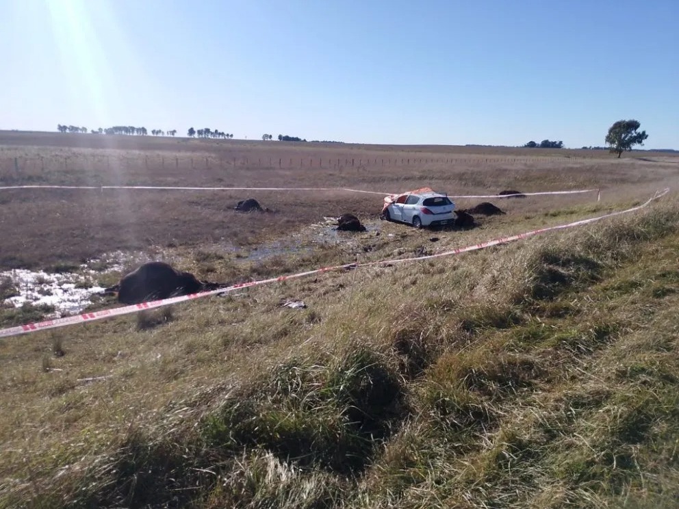 Tragedia en la Ruta 3, altura Benito Juárez: un muerto y tres heridos ...