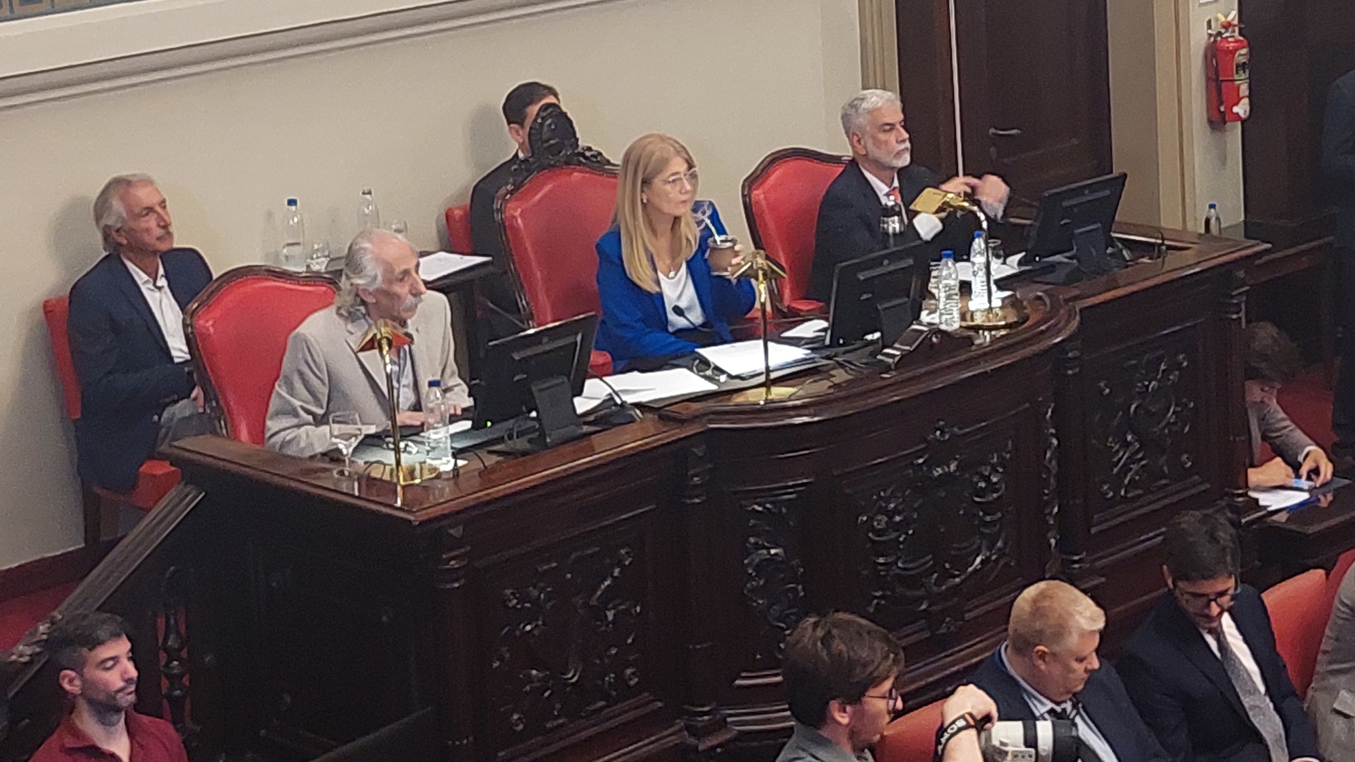 Magario, presidenta del Senado es candidata testimonial por la Tercera Sección Electoral.