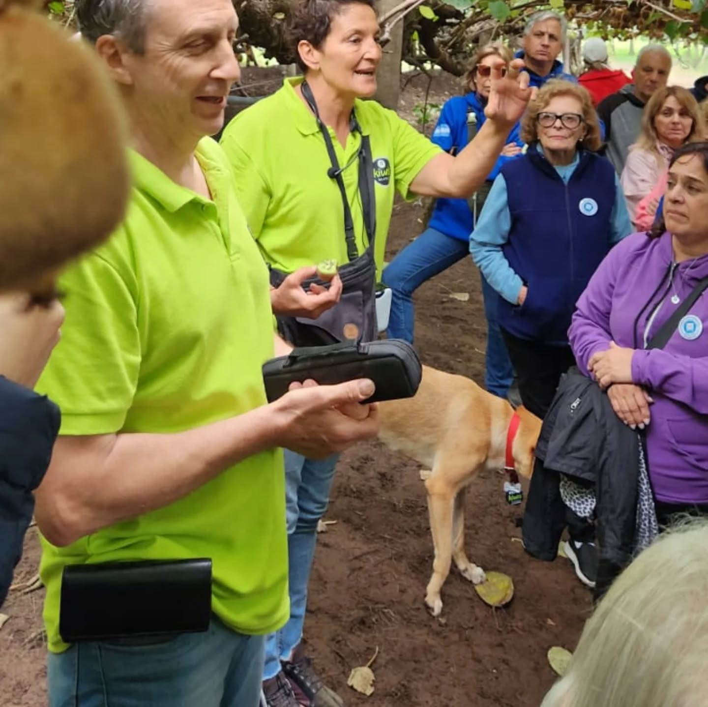La Ruta del Kiwi en Saladillo