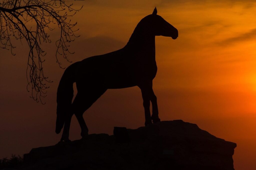 caballo bragado