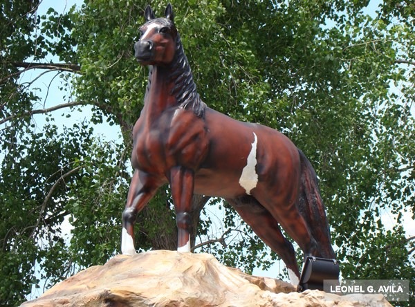 caballo bragado