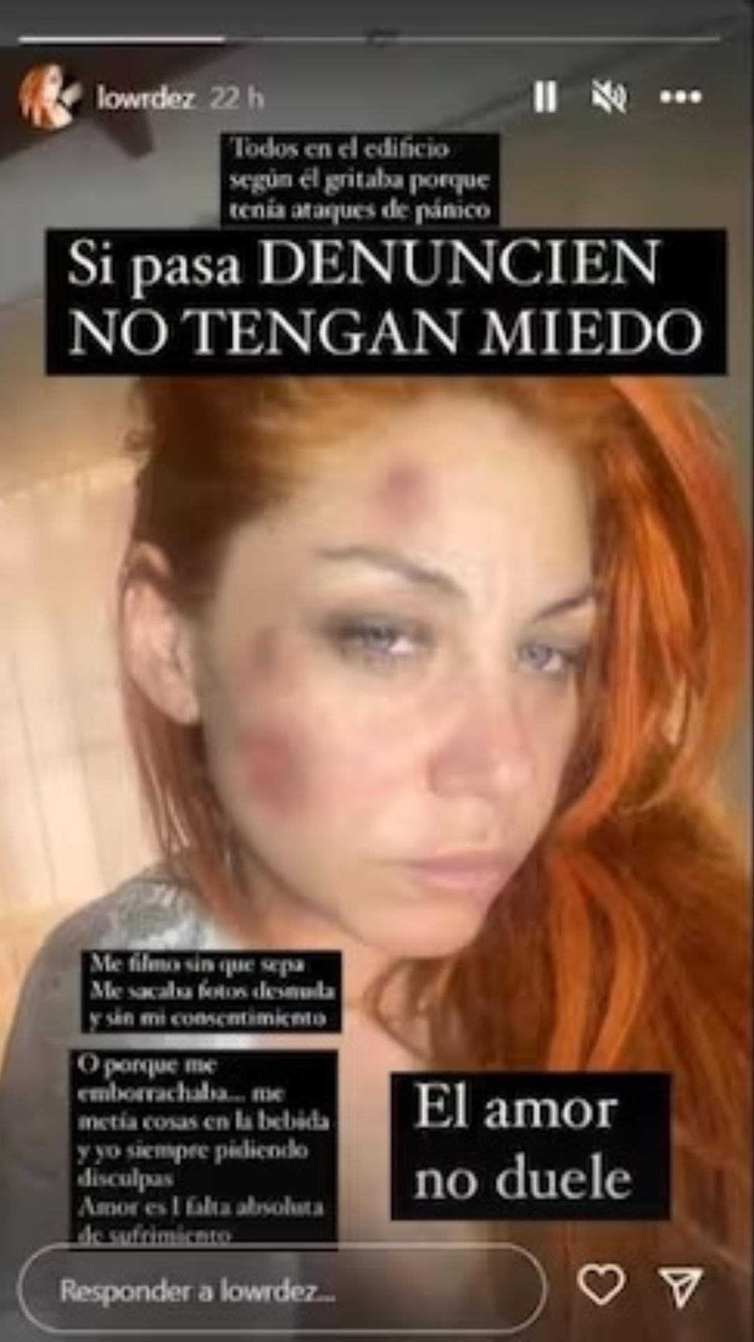 lourdes fernández