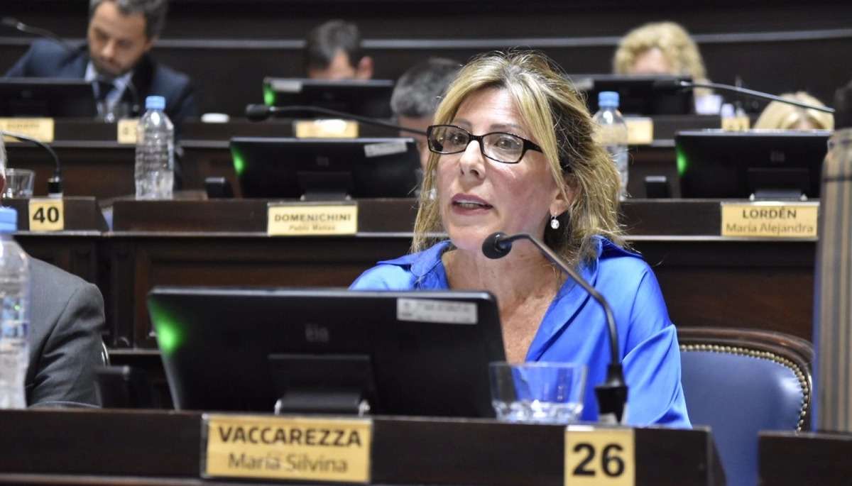 Silvina Vaccarezza, diputada por la Cuarta Sección Electoral.