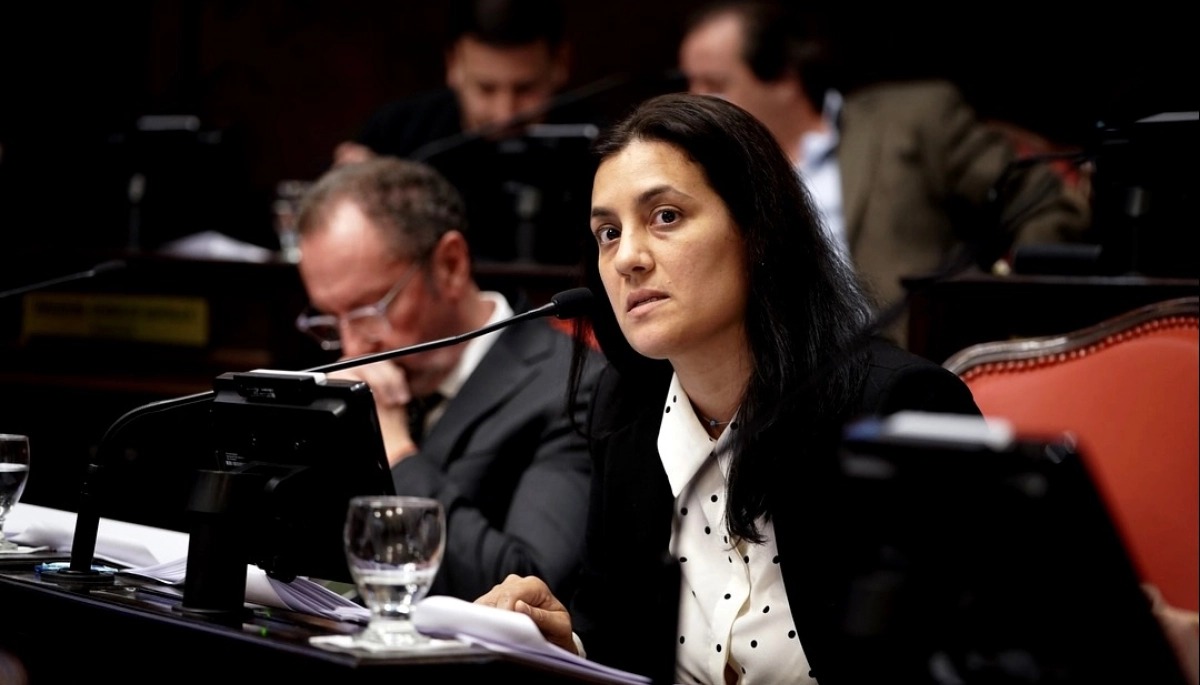 Sofía Vannelli, diputada por la Primera Sección Electoral.