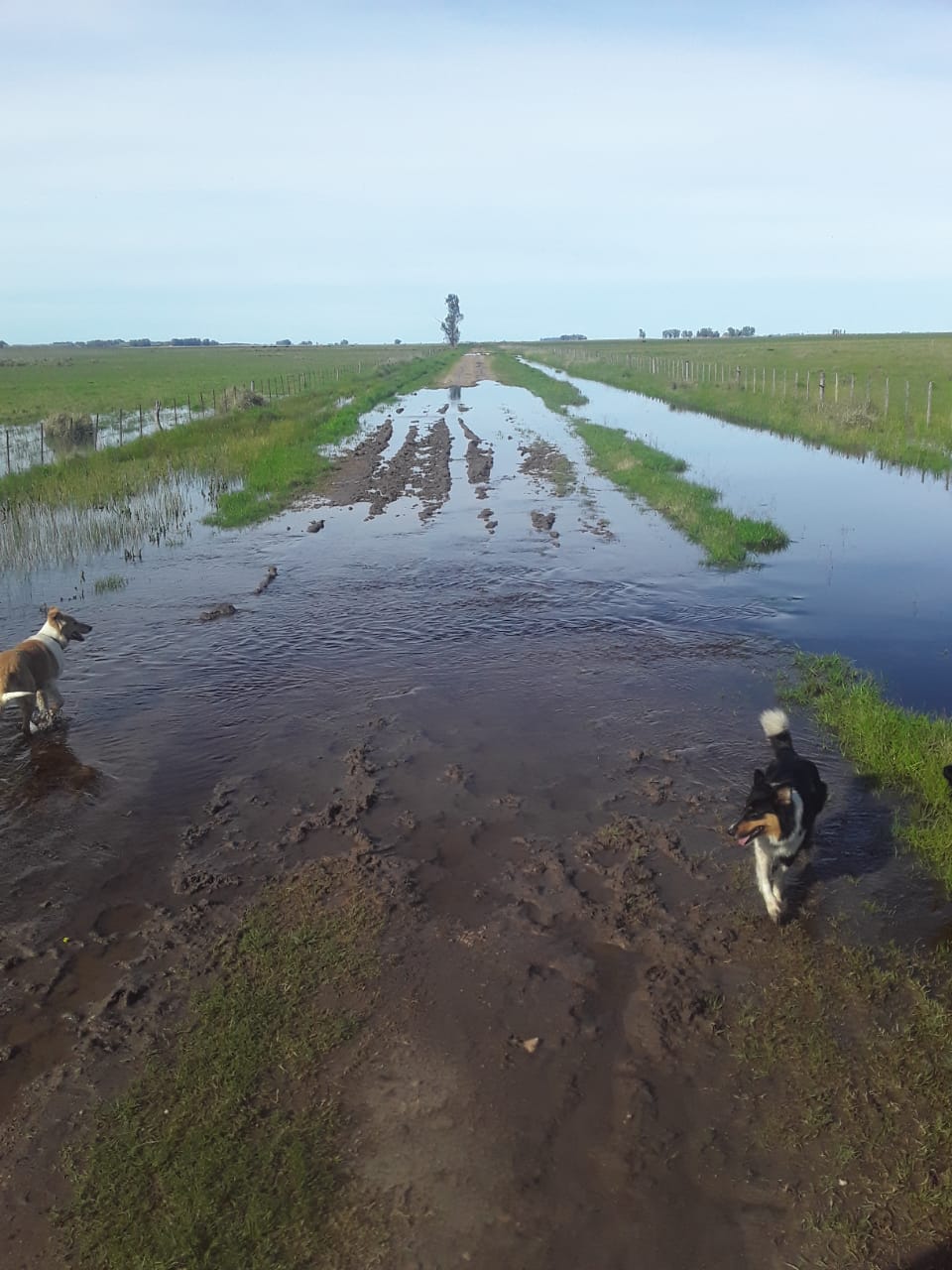 caminos rurales inundados en Azul - 3
