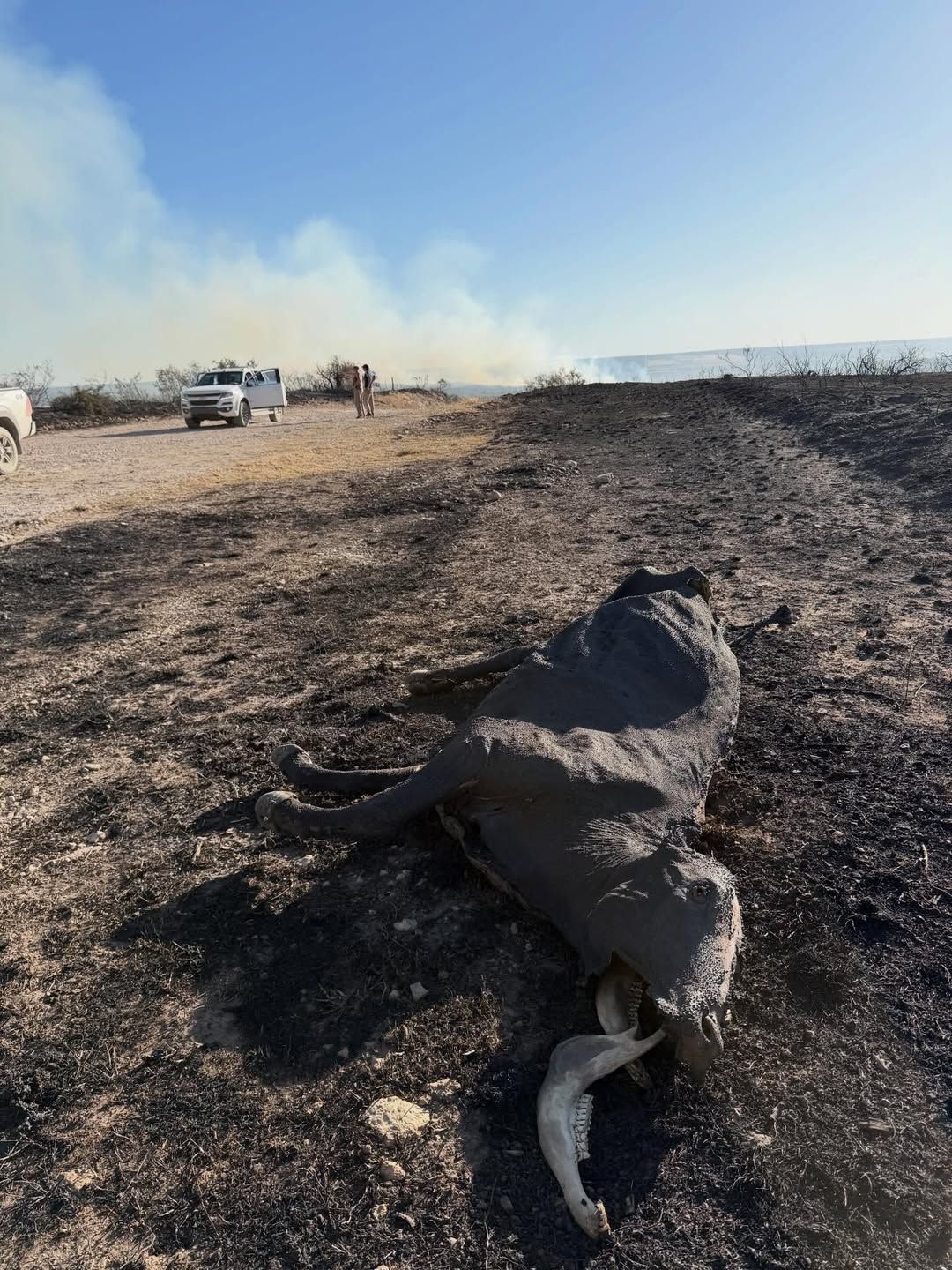 incendio forestal puán - 3