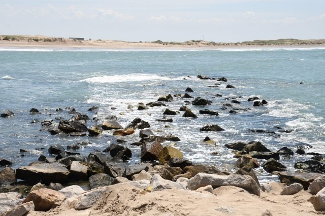 Sendero de la Albúfera