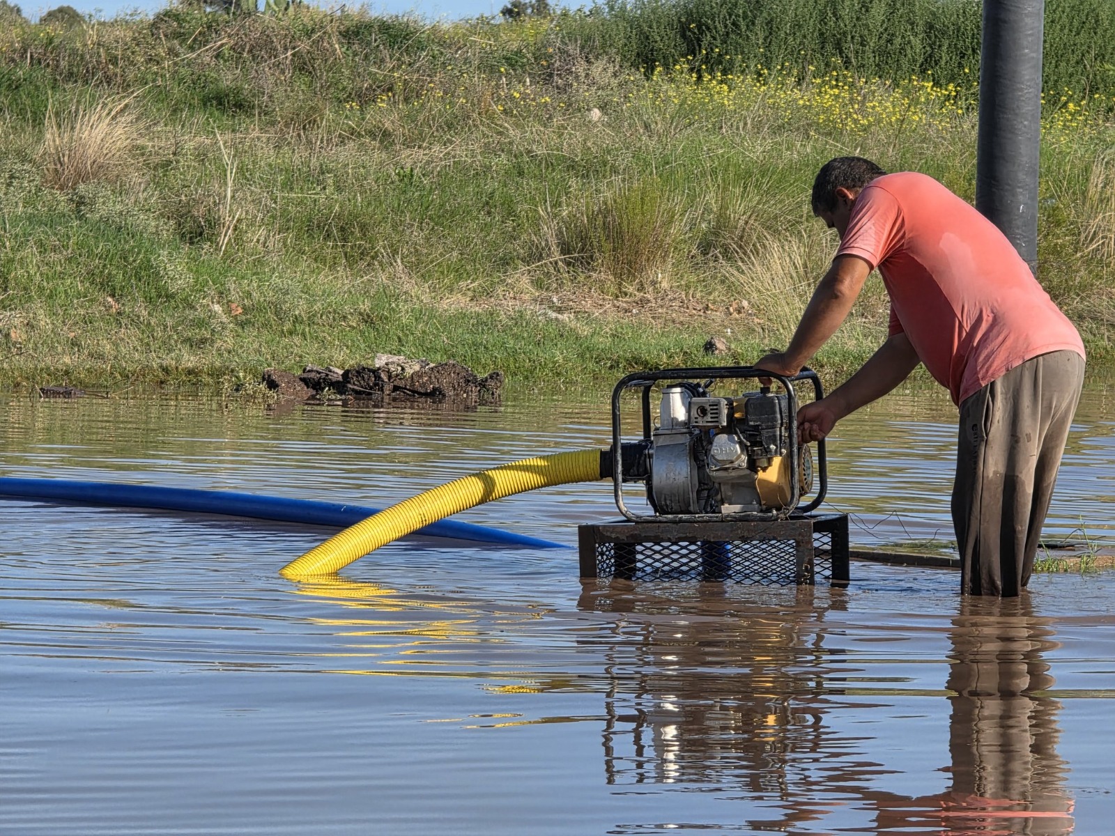 coronel rosales temporal