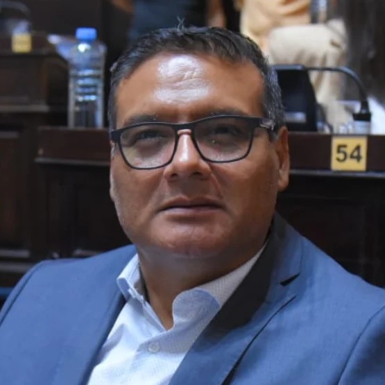 Diputado Provincial